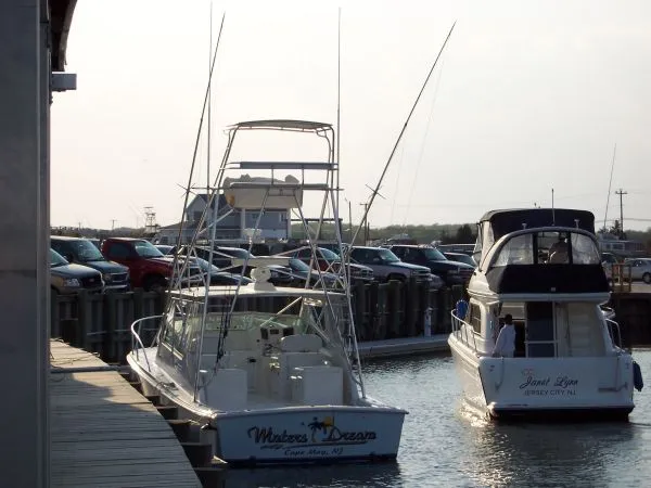 Slide: The Image of Topaz Sportfish 2004 - 3