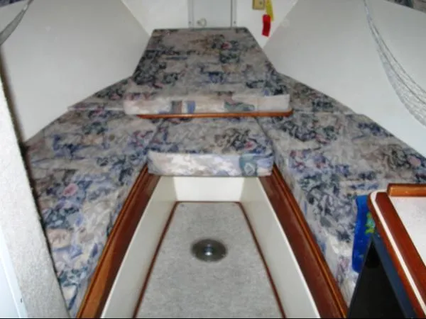 Slide: The Image of Shamrock Express 2001 - 1