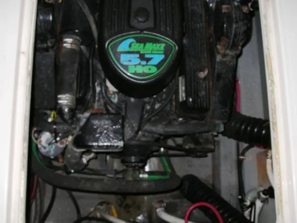 Slide: The Image of Shamrock Express 2001 - 7