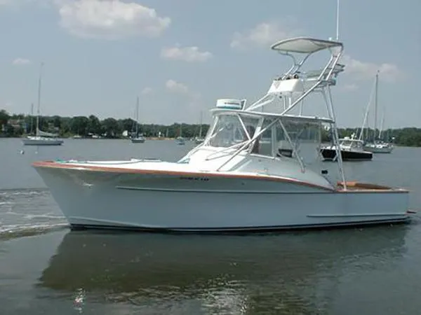 Slide: The Image of Carolina Custom Robin Smith 2002 - 0