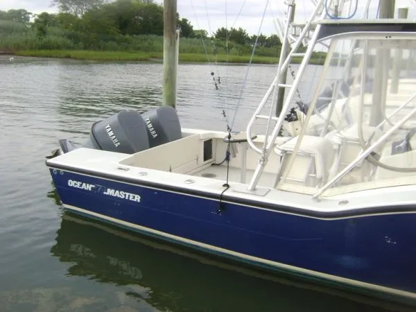 Slide: The Image of Ocean Master 1989 - 3