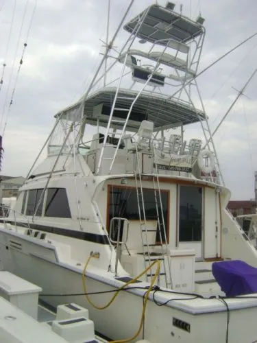 Slide: The Image of Bertram 54 Convertible 1986 - 1