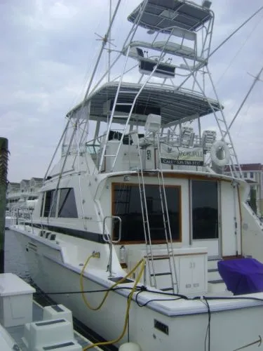 Slide: The Image of Bertram 54 Convertible 1986 - 2