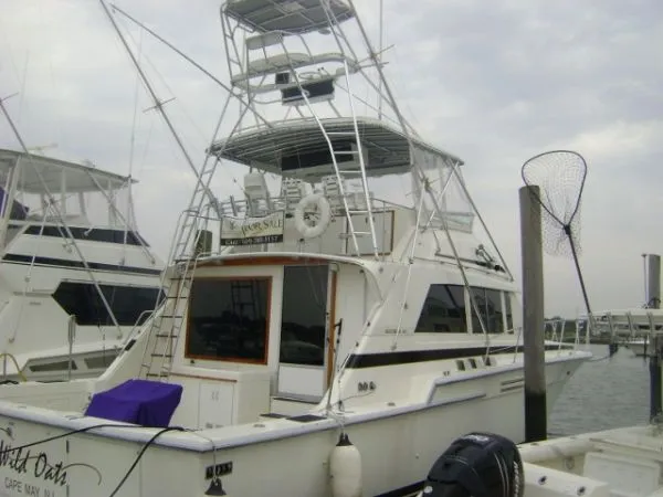 Slide: The Image of Bertram 54 Convertible 1986 - 3