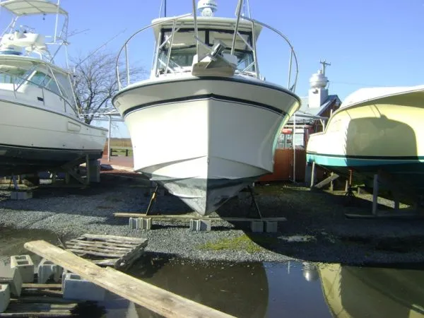 Slide: The Image of Grady-White Marlin 1989 - 9