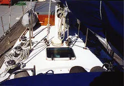 Slide: The Image of Cheoy Lee Pedrick 1989 - 5