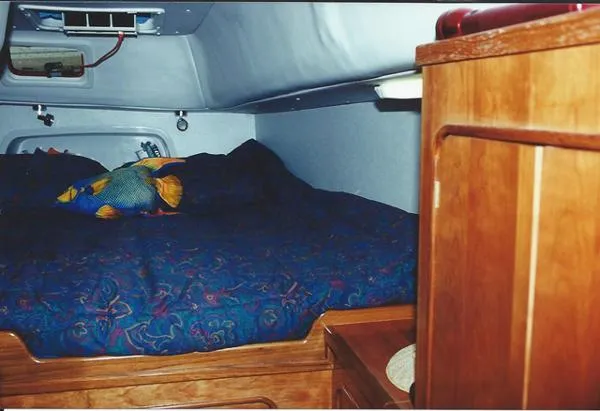 Slide: The Image of Prout Escale 1994 - 10