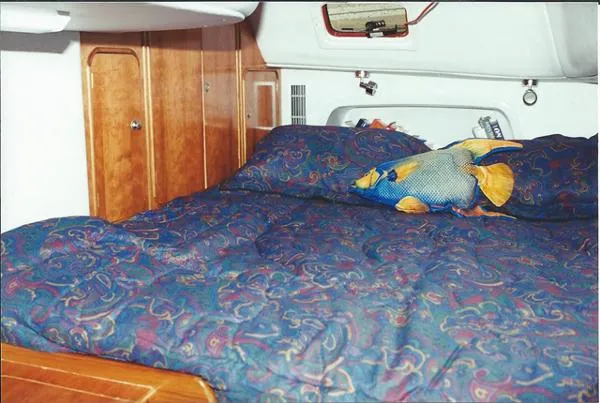 Slide: The Image of Prout Escale 1994 - 9