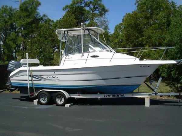 Slide: The Image of Cobia 250 Walkaround 2003 - 0