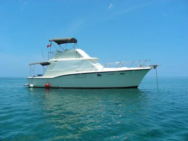 Slide: The Image of Hatteras 380 Convertible 1971 - 0