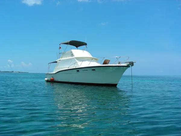 Slide: The Image of Hatteras 380 Convertible 1971 - 1