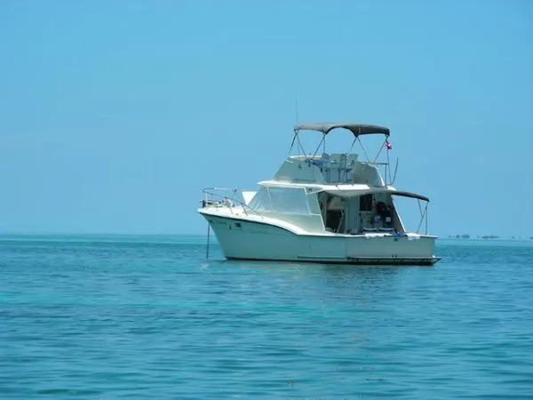 Slide: The Image of Hatteras 380 Convertible 1971 - 2