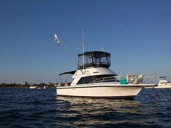 Slide: The Image of Phoenix Bass Boat SFX 1990 - 0