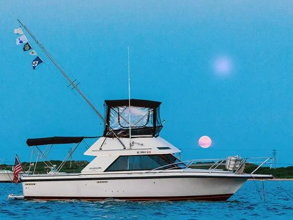 Slide: The Image of Phoenix Bass Boat SFX 1990 - 3