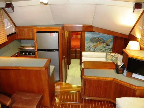 Slide: The Image of Viking 45 Convertible 1989 - 4
