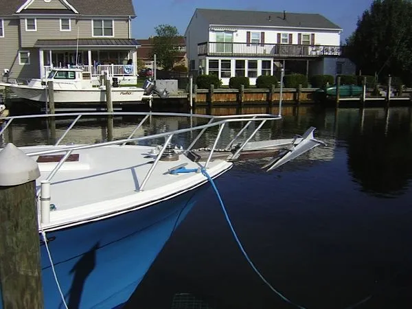 Slide: The Image of Topaz Open Fisherman 1989 - 5