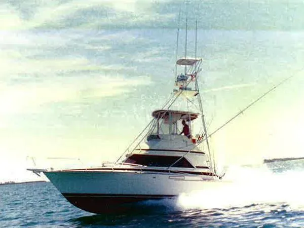 Slide: The Image of Bertram 37 Convertible 1987 - 0