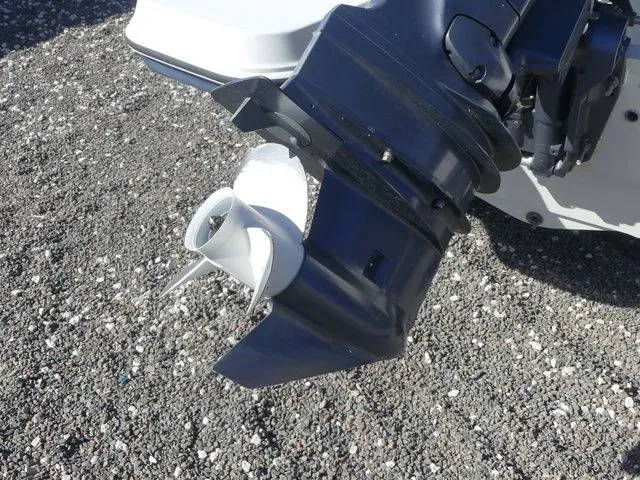 Slide: The Image of Stingray 191 DC 2016 - 11