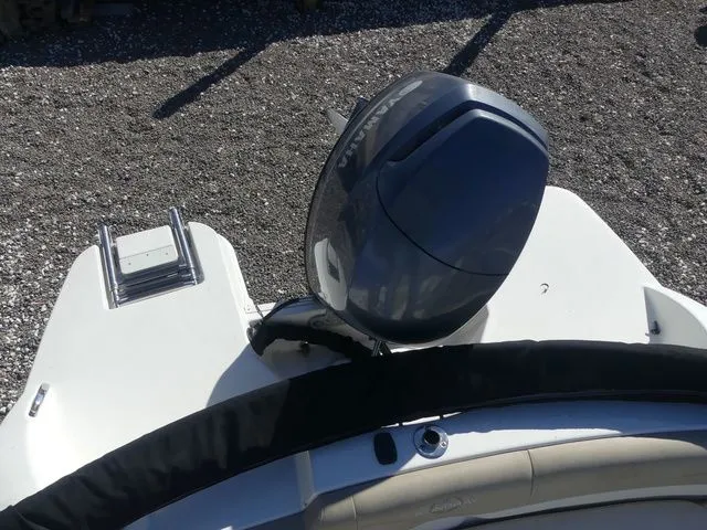 Slide: The Image of Stingray 191 DC 2016 - 16