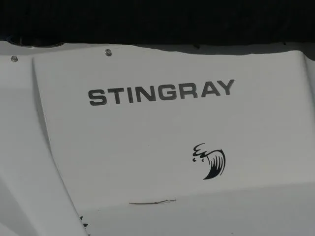 Slide: The Image of Stingray 191 DC 2016 - 7