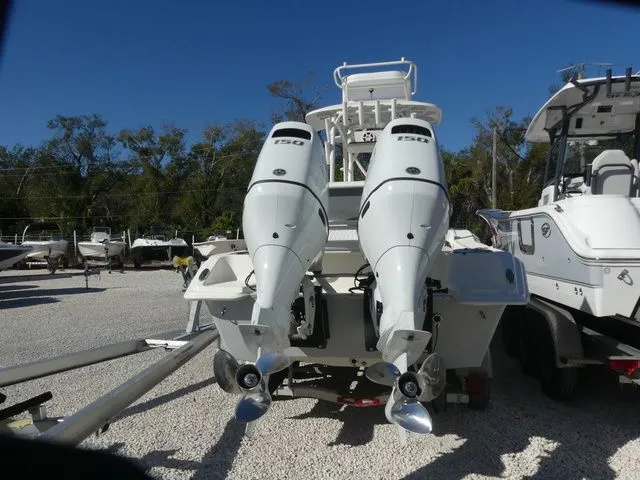 Slide: The Image of King Marine Cubera 250 2025 - 4