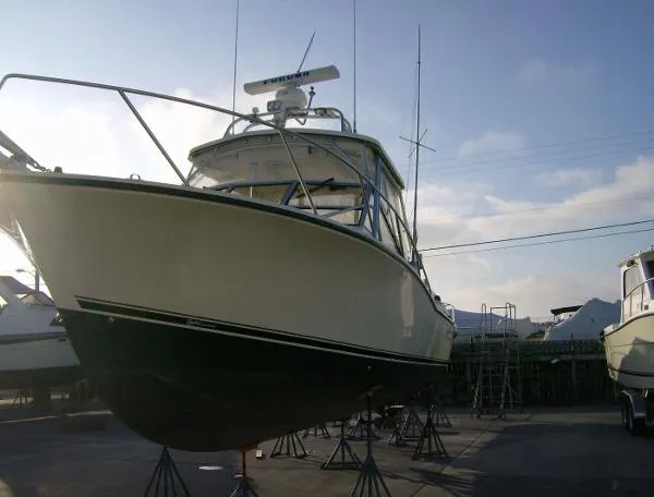 Slide: The Image of Carolina 28 2003 - 1