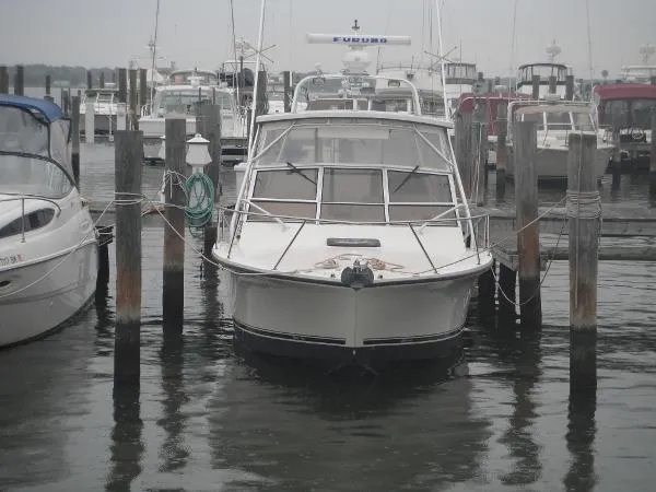 Slide: The Image of Carolina 28 2003 - 4