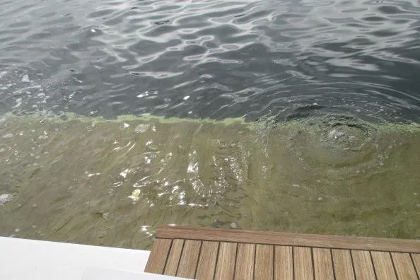 Slide: The Image of swim platform lowered - 10