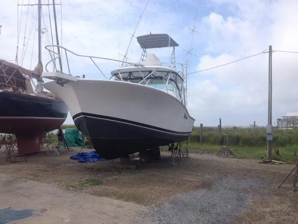 Slide: The Image of Luhrs 36 Open 2000 - 0