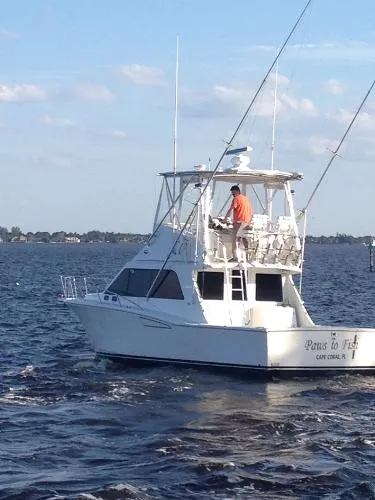 Slide: The Image of Cabo Convertible 2001 - 4