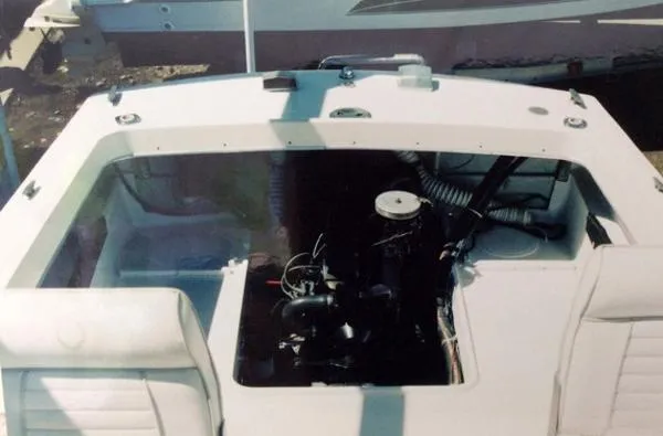 Slide: The Image of Bertram Bahia Mar 1967 - 4