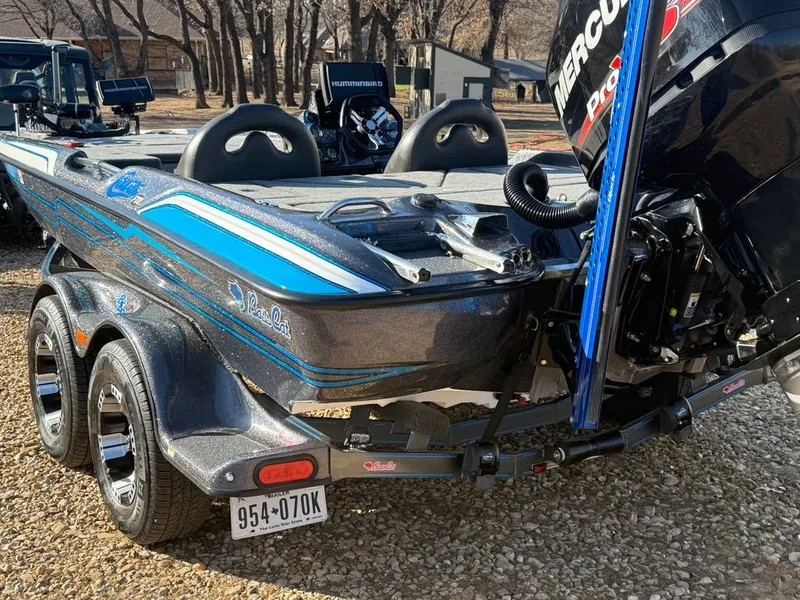 Slide: The Image of Bass Cat Cougar FTD 2014 - 4