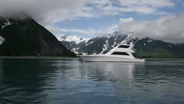 Slide: The Image of Viking 74 Enclosed Bridge 2005 - 0