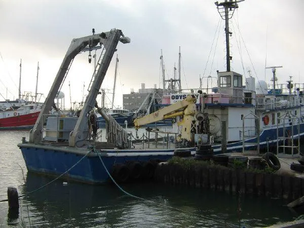 Slide: The Image of Custom Expediton , Dive, Trawl Quincy 1959 - 10
