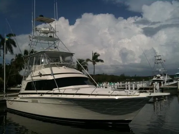 Slide: The Image of Bertram 54 Convertible 1985 - 0