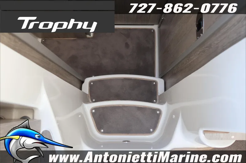 Slide: The Image of 2026 Bayliner Trophy T29 Explorer interior steps, featuring dark carpet and sleek design. - 12