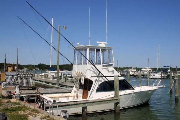 Slide: The Image of Albemarle Sportfish 1988 - 0