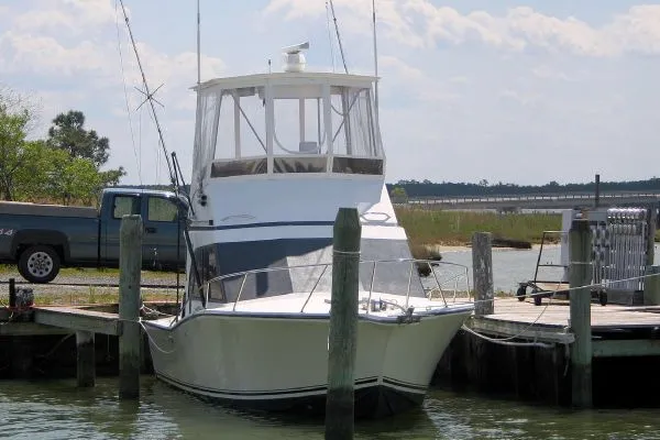 Slide: The Image of Albemarle Sportfish 1988 - 1