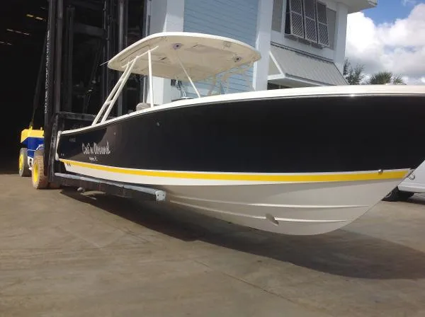 Slide: The Image of Pursuit 310 Sport 2010 - 0