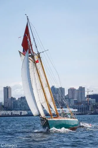 Slide: The Image of Hodgdon Bros. Stadel Gaff Topsail Schooner 1978 - 8