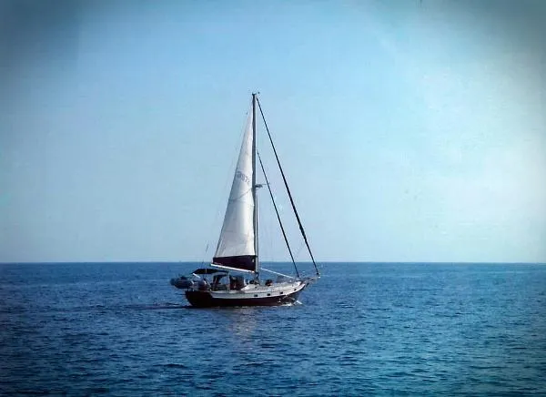 Slide: The Image of Kady Krogen Cutter 1986 - 1