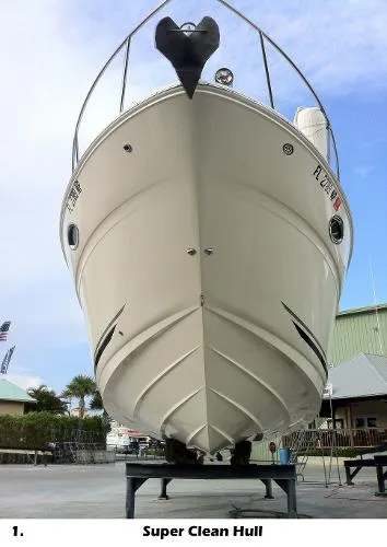 Slide: The Image of Sea Ray Amberjack 2007 - 1