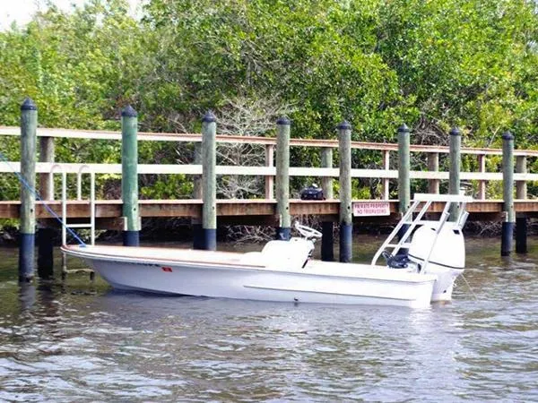 Slide: The Image of CHAOS 16 BONEFISH 2009 - 0