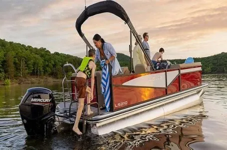 The Image of Lowe LS L-Shaped 190 w/ 60HP Mercury! 2026 - 1