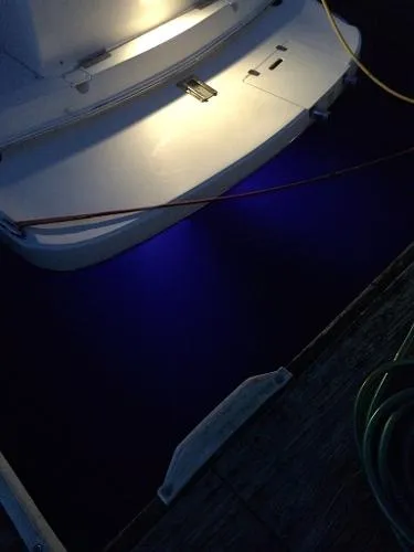 Slide: The Image of Rinker 250 Express Cruiser 2006 - 6