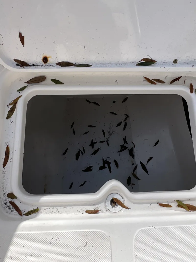 Slide: The Image of Pioneer 22 Bay Sport 2007 - 3