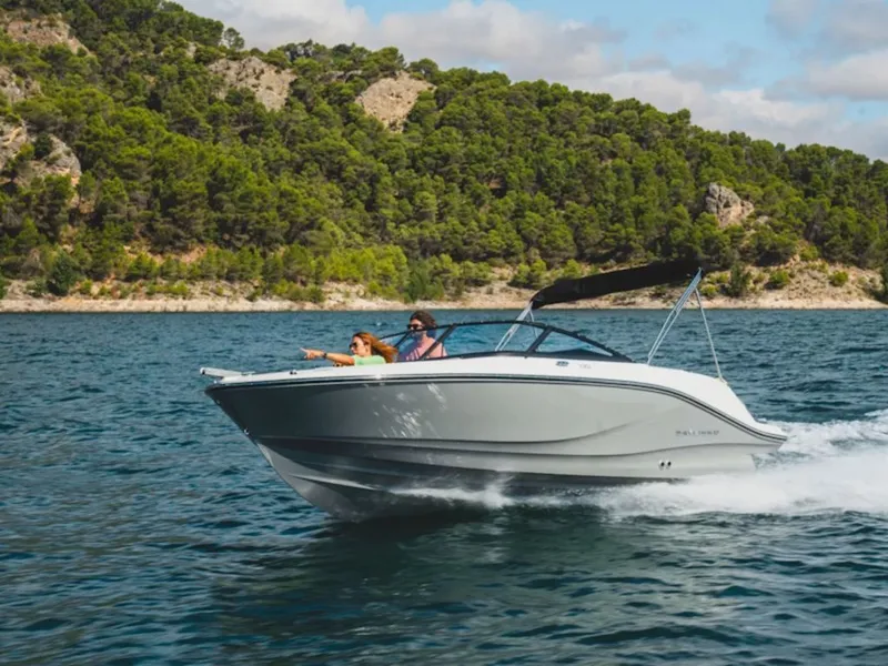The Image of Bayliner V20i 2026 - 1