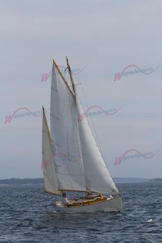 Slide: The Image of Gannon & Benjamin Tern Class Rozinante 2001 - 0