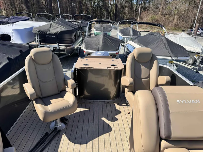 Slide: The Image of Sylvan 8522 Party Fish 2026 - 8