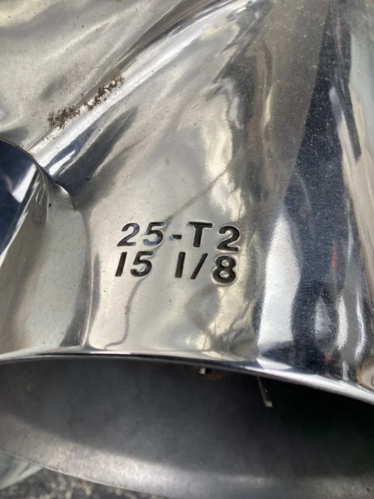 Slide: The Image of Bass Cat Cougar FTD 2026 - 4